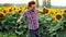 Successful male-farmer dancing fun on sunflowers field, pleased and positive on sunset. Farming concept