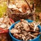 Successful mushroom hunting in the autumn forest