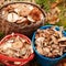 Successful mushroom hunting in the autumn forest