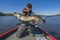 Successful pike fishing. Happy fisherman hold huge muskie fish