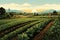 Successful Sustainable farming concept Illustration. agricultural landscape.