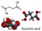 Succinic acid, butanedioic acid, C4H6O4 molecule. It is food additive E363. Anion, succinate, is component of citric acid or TCA.