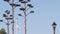 Succulent agave flower, american flag on flagpole or flagstaff, California USA.