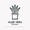 Succulent Aloe vera in pot. Thin line icon.