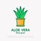 Succulent Aloe vera in pot. Thin line icon. Modern vector illustration of houseplant