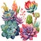 Succulent arrangement, Botanical Illustration, Generative AI