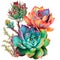 Succulent arrangement, Botanical Illustration, Generative AI