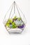 Succulent arrangement in a glass vase terrarium