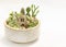 Succulent and cactus arrangement with miniature house open terrarium pot