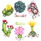 Succulent and cactus blooming collection with inscription on white background