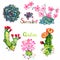 Succulent and cactus blooming collection with inscription on white background