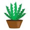 Succulent cactus houseplant icon, cartoon style