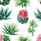 Succulent and cactus seamless pattern. Watercolor botanical illustration, background succulents, stone rose