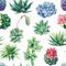 Succulent and cactus seamless pattern. Watercolor botanical illustration, background succulents, stone rose