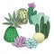 Succulent cactus set roundelay. Place for text. agave, aloe, gastraea, echeveria, Pachyphytum,