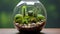 Succulent and cactus terrarium with ample space for creative projects, lush and vibrant