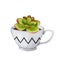 Succulent in a ceramic cup. Boho, scandinavian style.