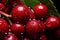 Succulent cherry treasures, deep red jewels of deliciousness