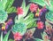 Succulent design, seamless pattern.