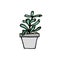 Succulent doodle print. Home plants in modern flowerpot