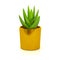 Succulent in golden Plant Pot Icon