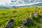 Succulent green field with stones in Armenia against the backdrop of mountains, Zorats Karer, Armenian