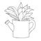Succulent home flower in a pot vector sketch
