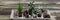 Succulent houseplants on vintage table for indoor flora garden
