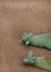 succulent leaves used to propagate new plants on rustic cork surface