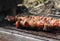 Succulent meat on grill at late afternoon on the garden. Chicken meat, carrot, small sausage and bacon on iron skewer. Preparing