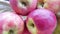 Succulent pink lady apples  60-70 mm