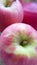 Succulent pink lady apples  60-70 mm