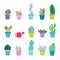 Succulent plant and cactus pots vector illustration background