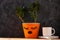 Succulent plant in orange pot. Creative reindeer with green horns in minimal style. Minimalistic home decor,urban jungle