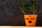 Succulent plant in orange pot. Creative reindeer with green horns in minimal style. Minimalistic home decor,urban jungle