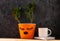 Succulent plant in orange pot. Creative reindeer with green horns in minimal style. Minimalistic home decor,urban jungle