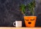 Succulent plant in orange pot. Creative reindeer with green horns in minimal style. Minimalistic home decor,urban jungle