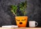 Succulent plant in orange pot. Creative reindeer with green horns in minimal style. Minimalistic home decor,urban jungle