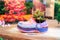 Succulent plant in shoe-shaped flowerpot