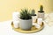 Succulent plants and candles on white table