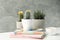 Succulent plants, coffee and notebooks against background. Houseplants