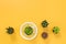 Succulent plants on joyful yellow background