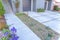 Succulent plants in the middle of concrete walkway entrance and driveway