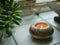 Succulent Plants in Windowsill with Tea Light Candle on Gloomy Rainy Day