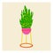 Succulent in pot in risograph style for printing. A painted house plant with leaves. Contrasting