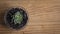 Succulent shown from above on distressed pine table with wood grain background