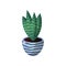 Succulent striped green flower pot for room design