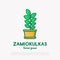 Succulent Zamiokulkas in pot. Thin line icon. Modern vector illustration of houseplant