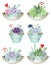 Succulents and air-plants in pots illustration, watercolor painting.