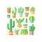 Succulents and cacti flat style multicolored square vector illustration. Minimalistic design.